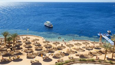 Египет в декабре — 2024