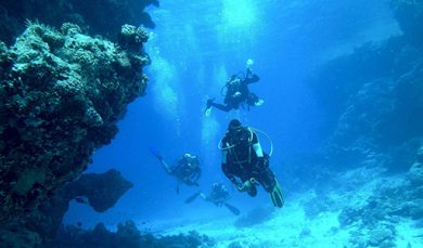Дайвинг в Анапе в 2017 году: Цены и подводный мир
