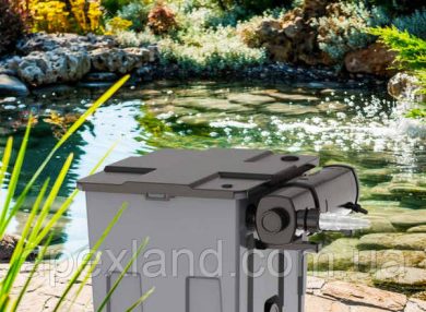 Пруд с водопадом: мечта, ставшая реальностью