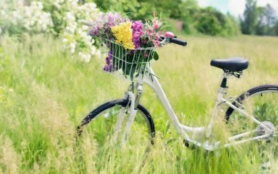 Как выбрать идеальный велосипед для города и природы