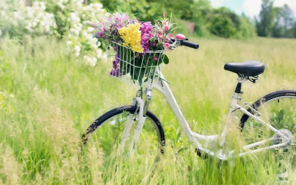 Как выбрать идеальный велосипед для города и природы