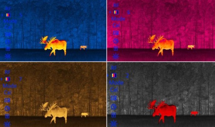 Тепловизоры для охоты 2025: какие модели выбирают профессионалы